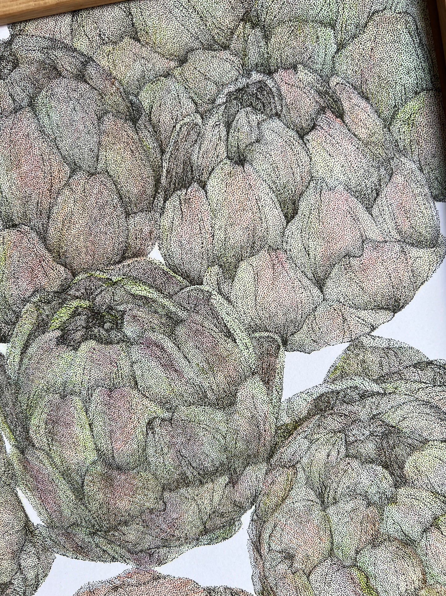 Artiskokker med prikker